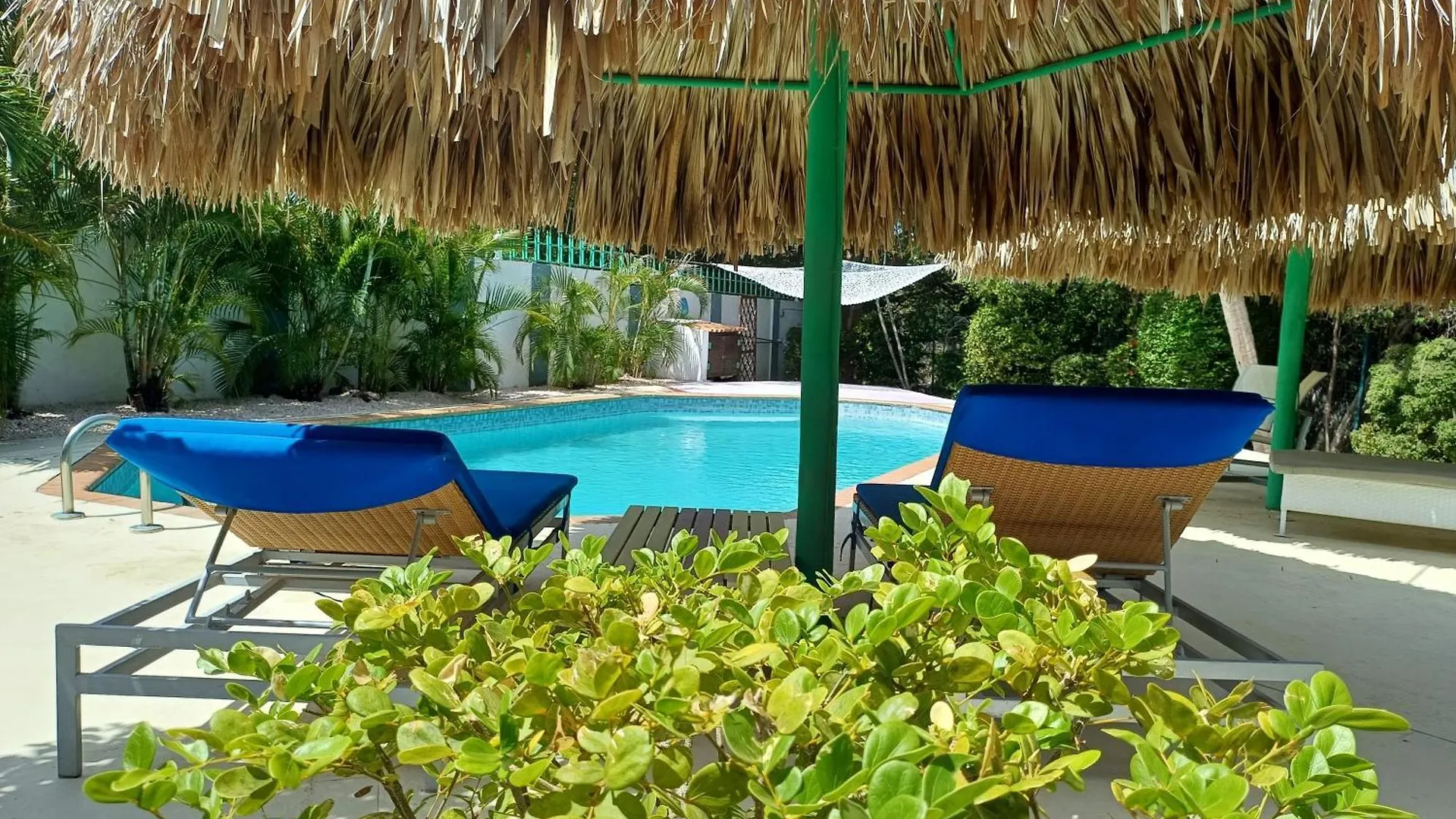 Apartment The Green Turtle Eco Lodge Willemstad Curacao