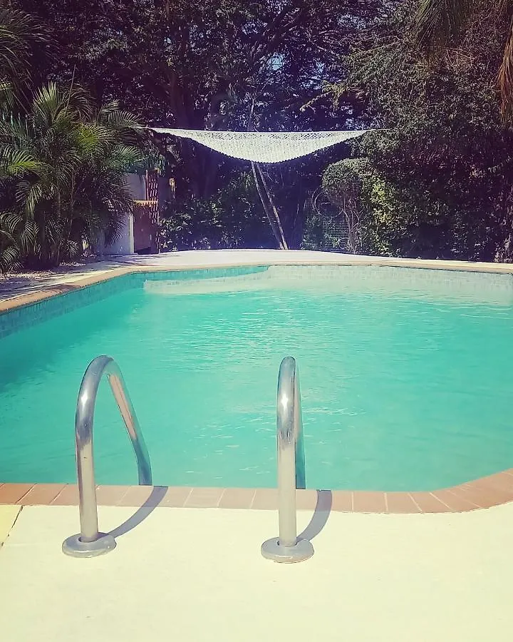 The Green Turtle Eco Lodge Willemstad