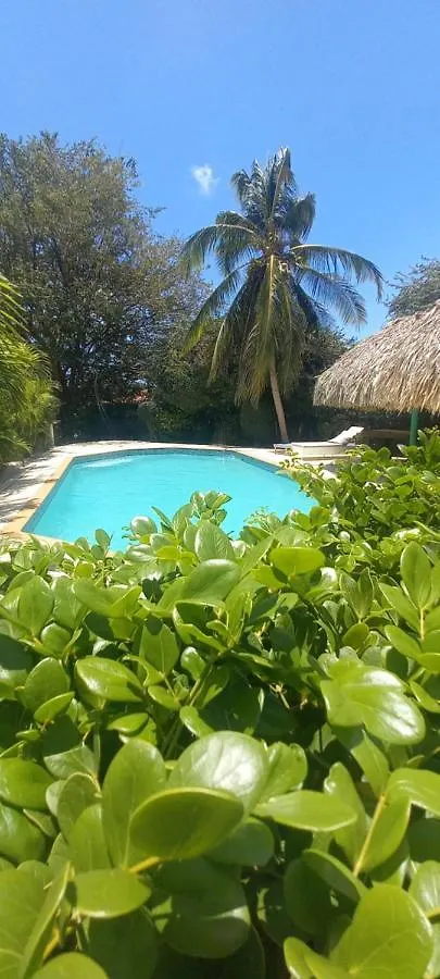 The Green Turtle Eco Lodge Willemstad Curaçao